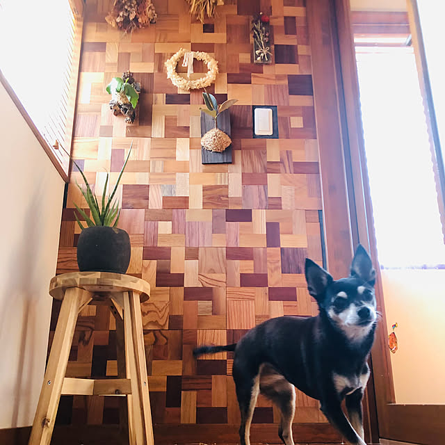 tnkさんの部屋