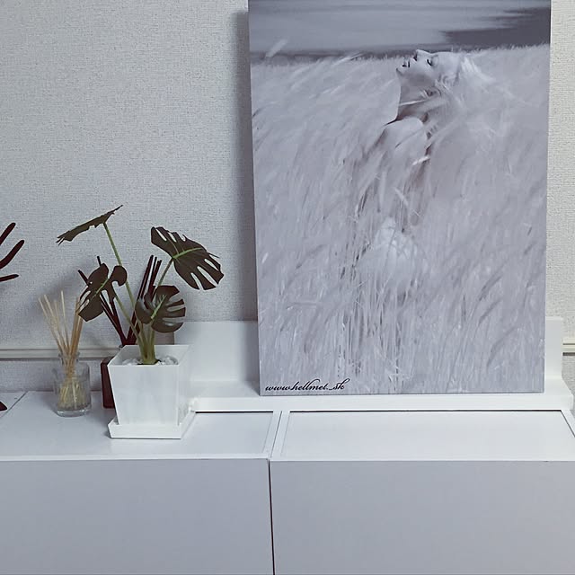 kinaさんの実例写真
