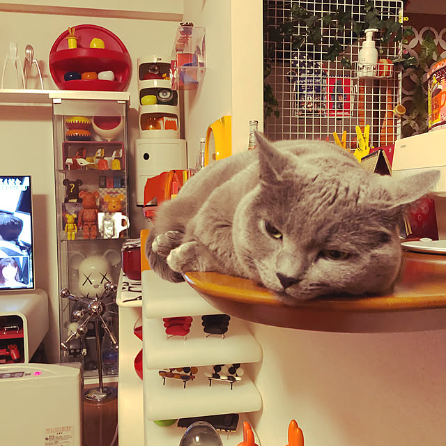 ikettenさんの実例写真