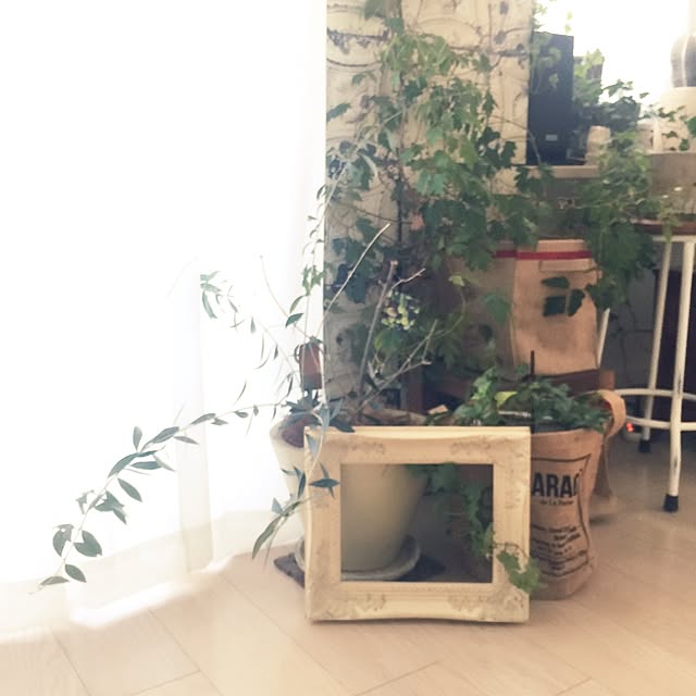 bubuさんの実例写真