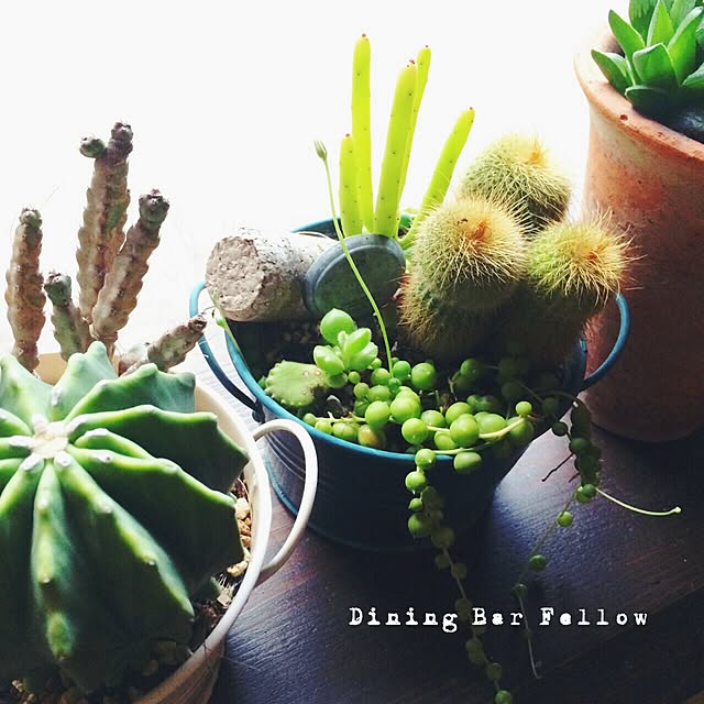 Fellowさんの実例写真