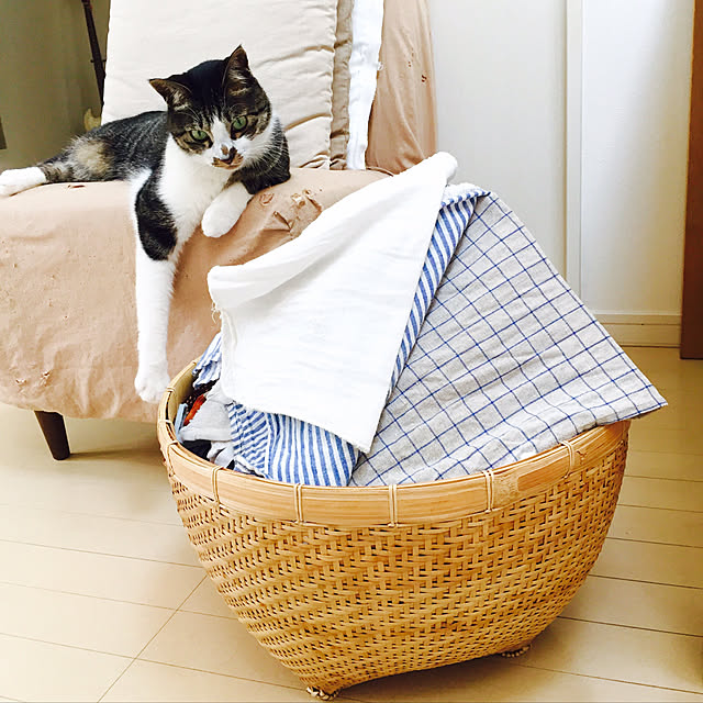 JUENさんの実例写真