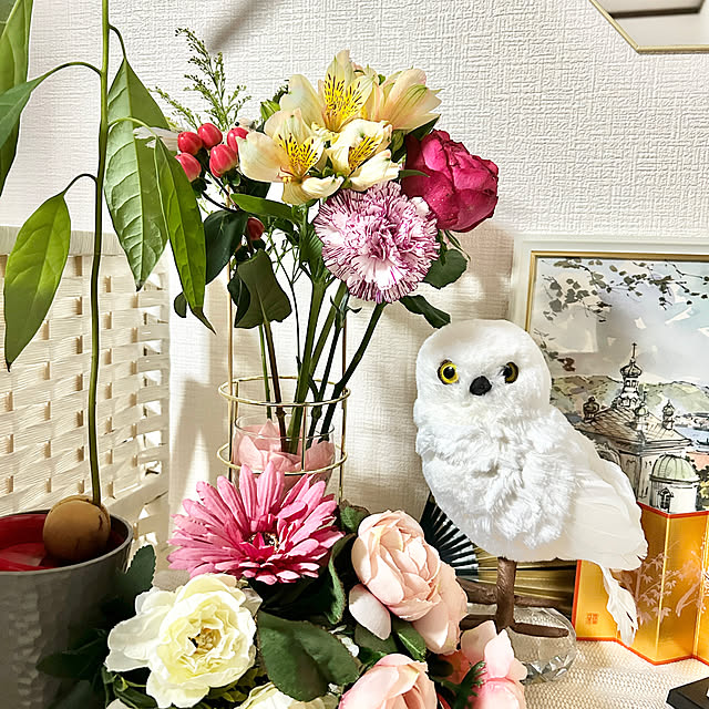 Komomoさんの実例写真