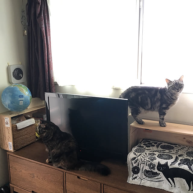 mikomaruさんの実例写真
