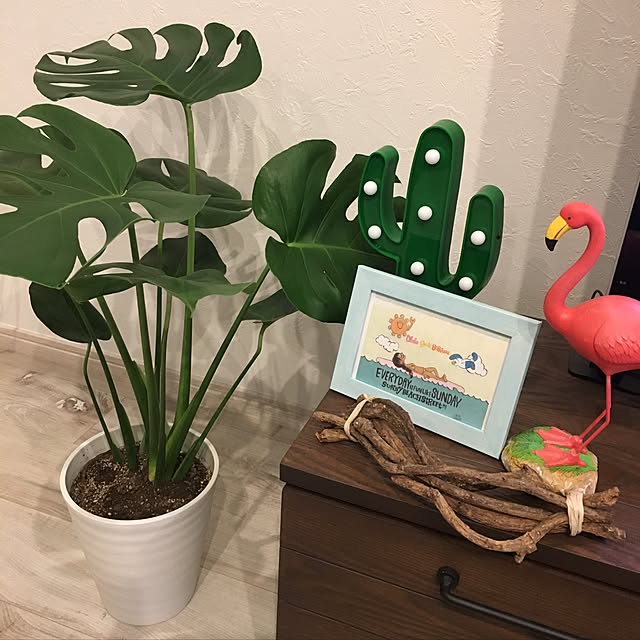 moruさんの実例写真