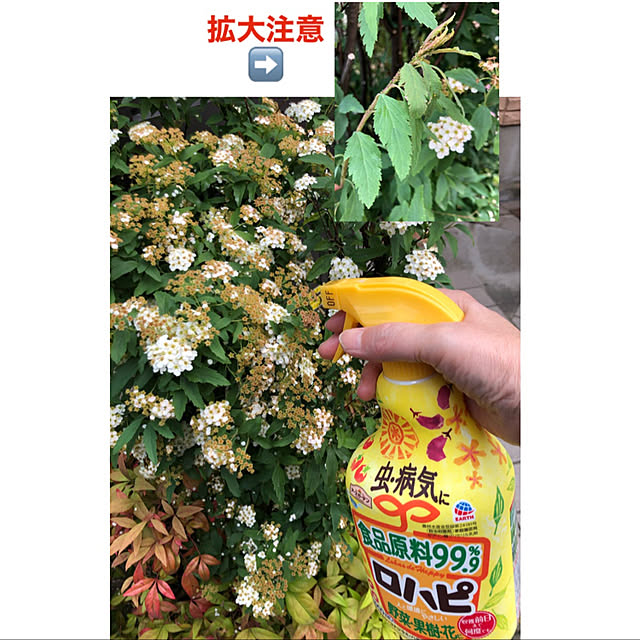 mocoさんの実例写真