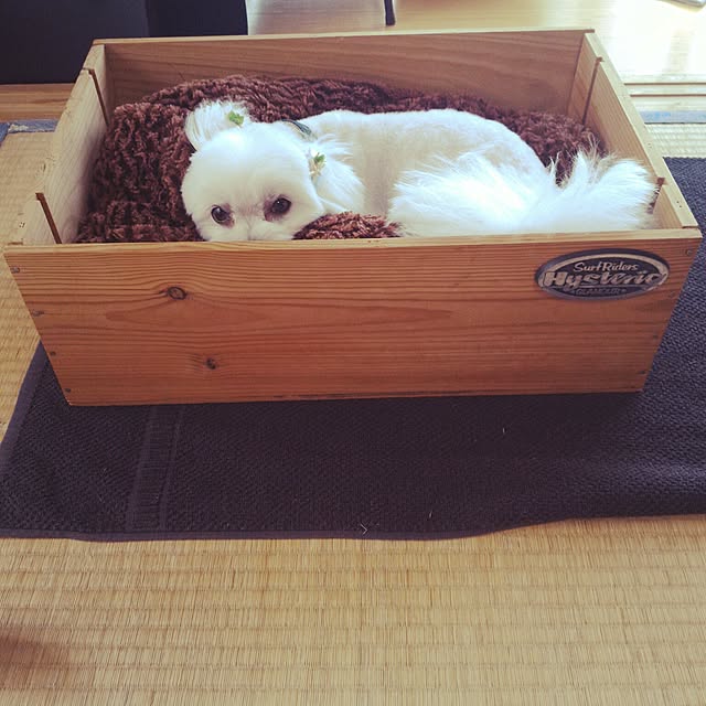 dorakuenoieさんの実例写真