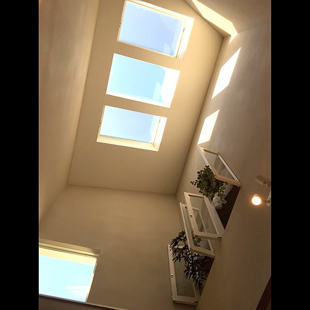 ramsさんの実例写真