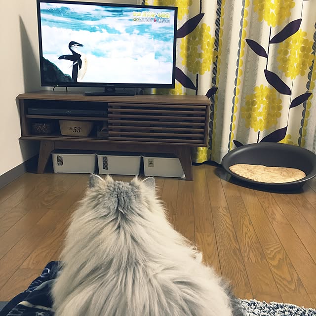 MeowMeowさんの実例写真