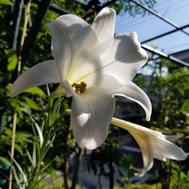midoriさんの部屋