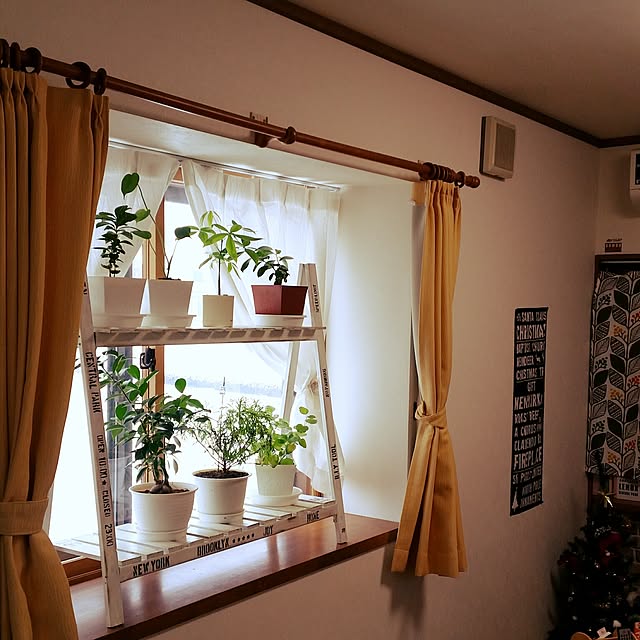 annさんの実例写真