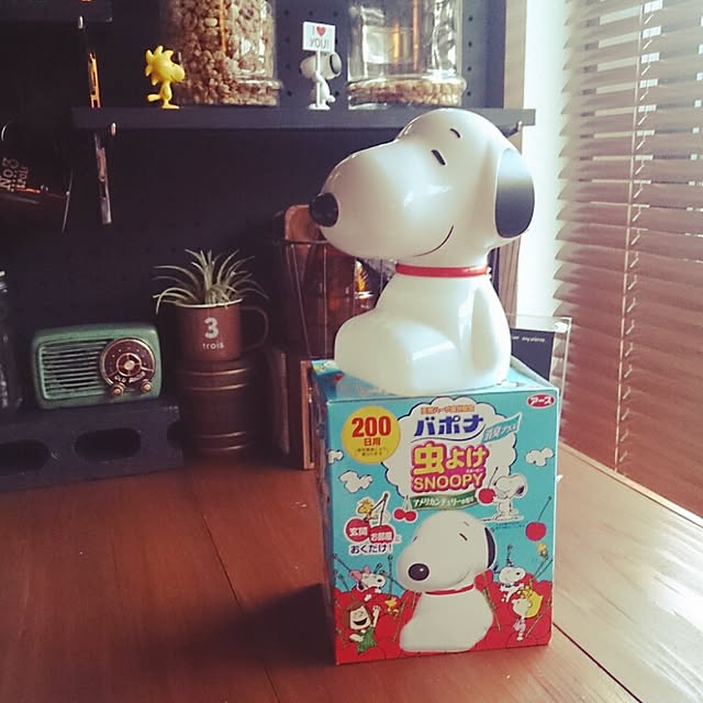 lovesnoopyさんの実例写真