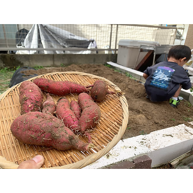 kaさんの実例写真