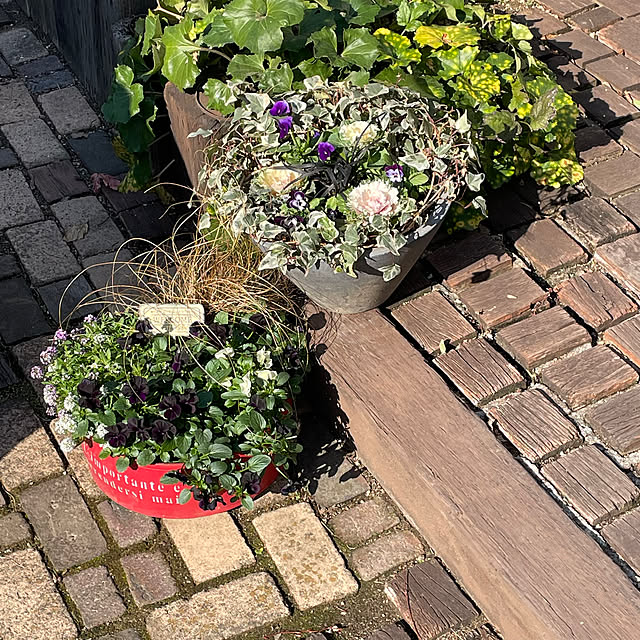 nobikoさんの実例写真