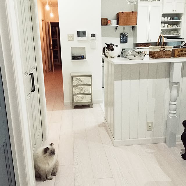 yuchiさんの実例写真