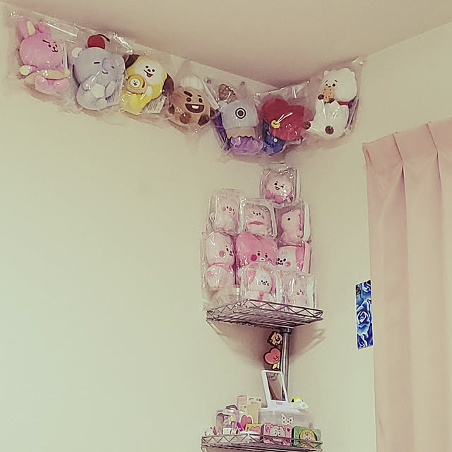 rviさんの実例写真