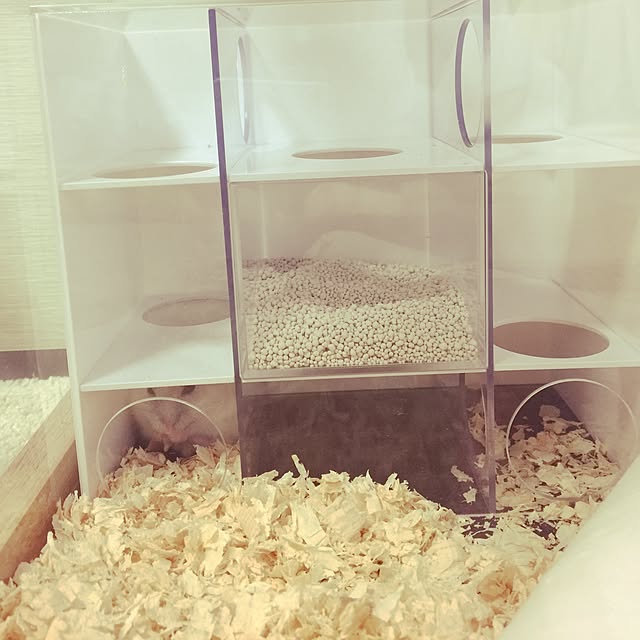 coochanさんの実例写真
