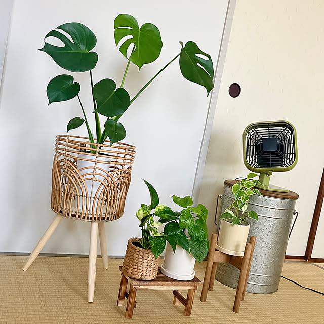 Hicchomuさんの部屋