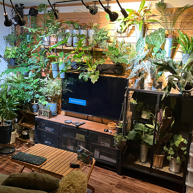 harumakiさんの部屋