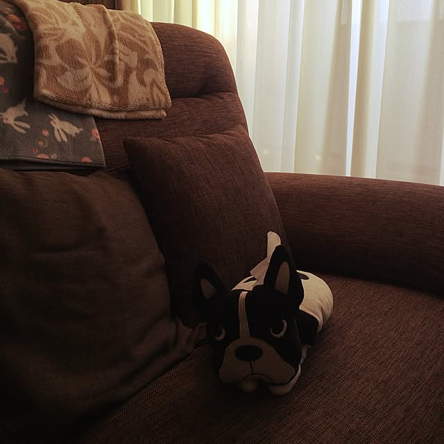 hosheeさんの実例写真