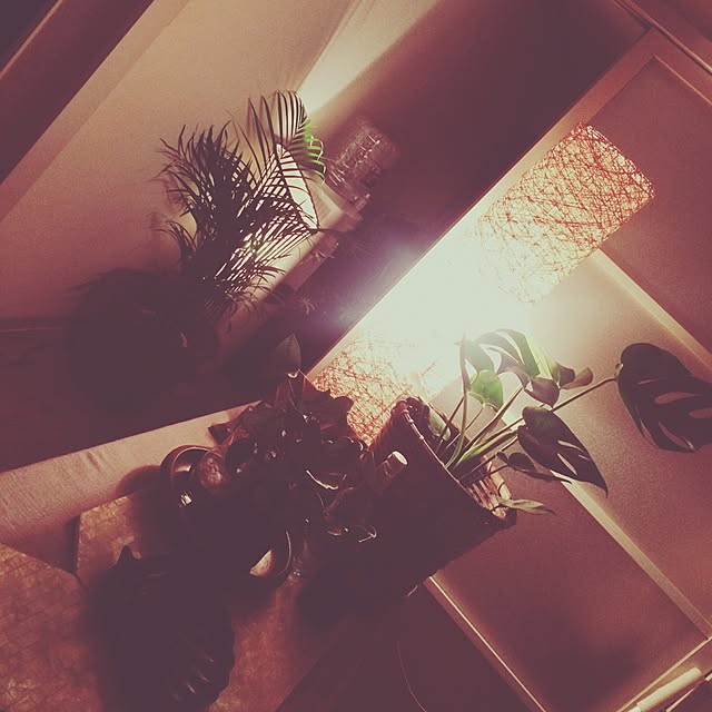 Timoさんの実例写真