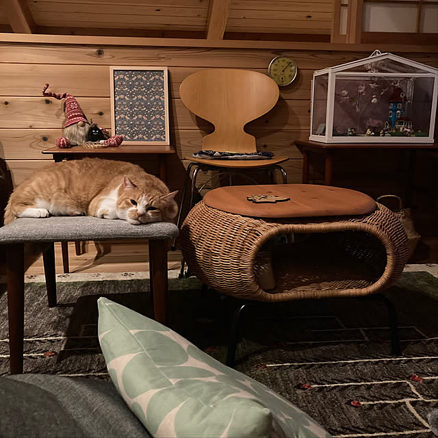 mkmkmoominさんの部屋