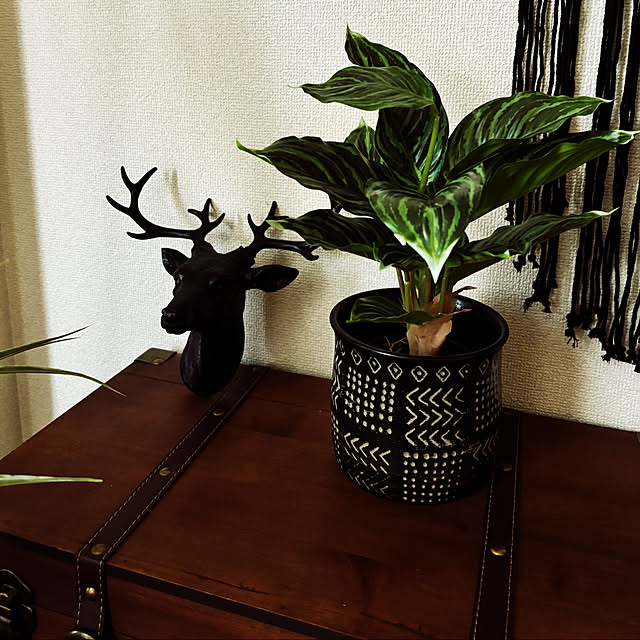 rintarotantan7さんの部屋