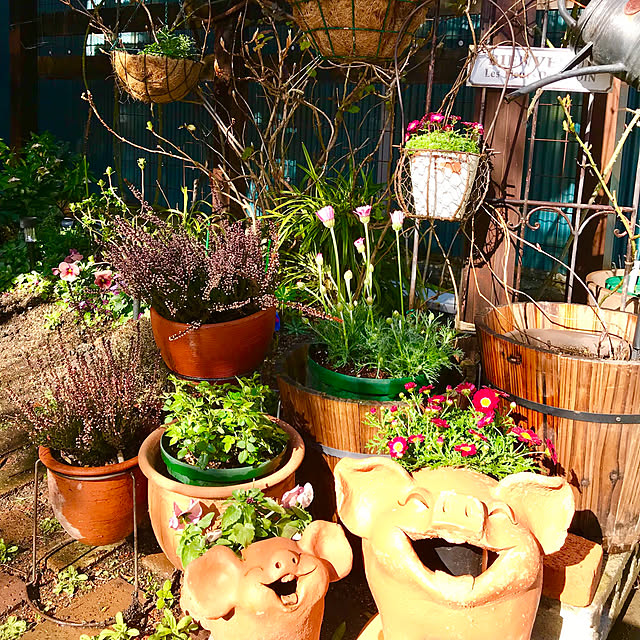 butachanさんの実例写真