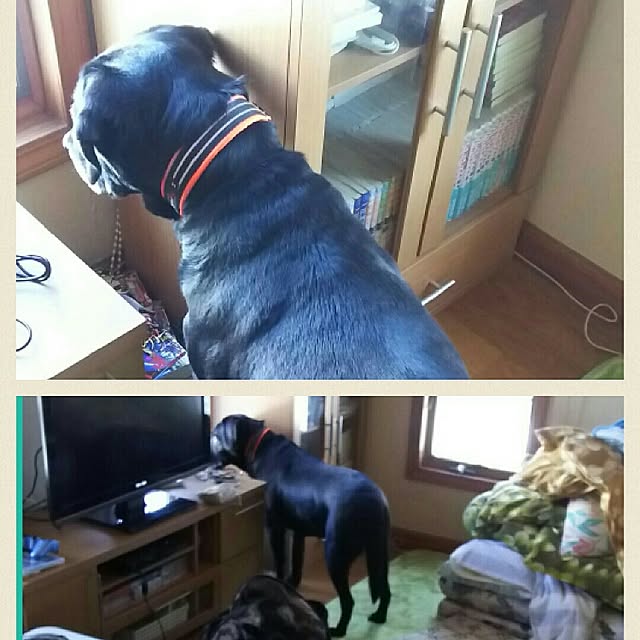 ohisamaさんの実例写真