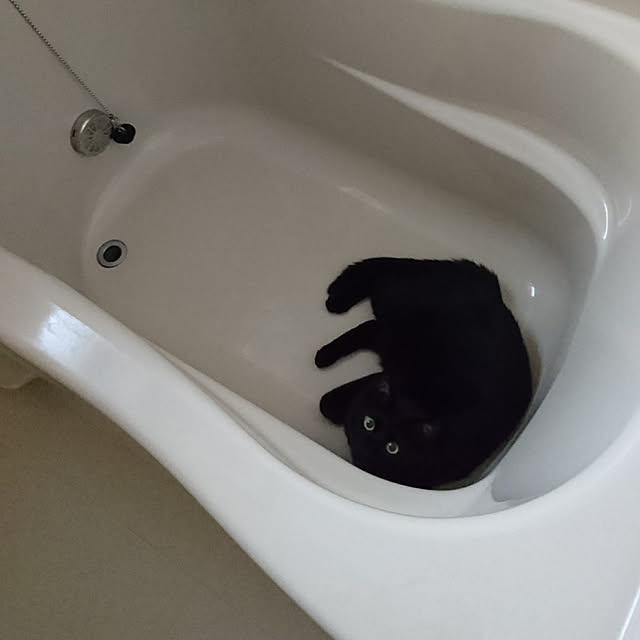 taleo07さんの実例写真