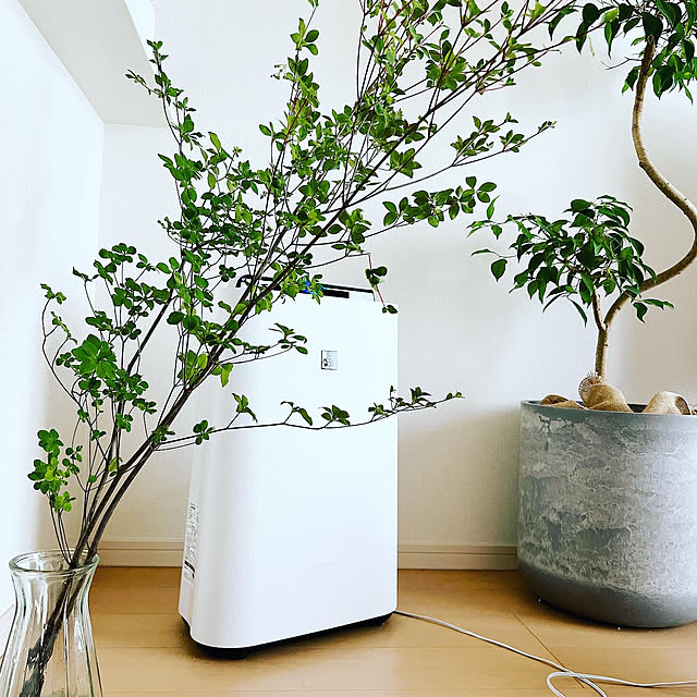 Nao56roomさんの部屋