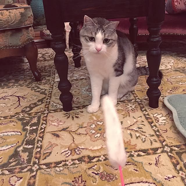 emmyyさんの実例写真
