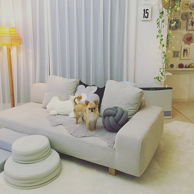 haruhinaさんの実例写真