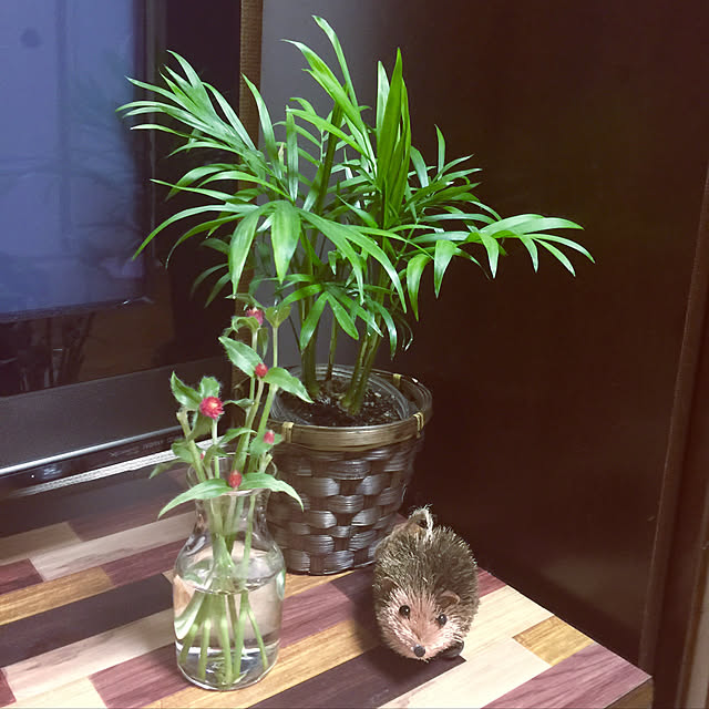 kojiro120513さんの実例写真