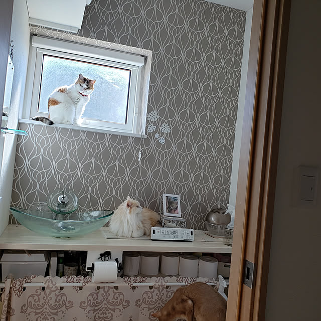 megu.catさんの実例写真