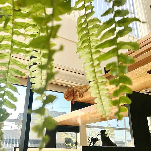 hm_myhomeさんの実例写真