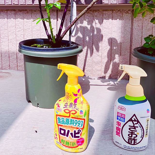 tinkunさんの部屋