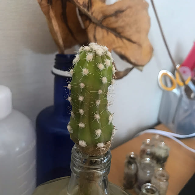 meimeiさんの実例写真