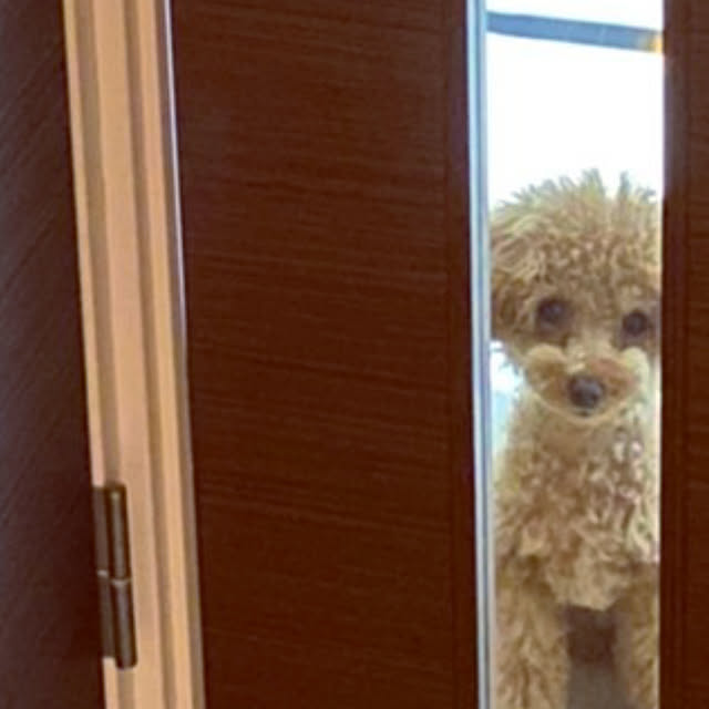 erisavesu4さんの実例写真