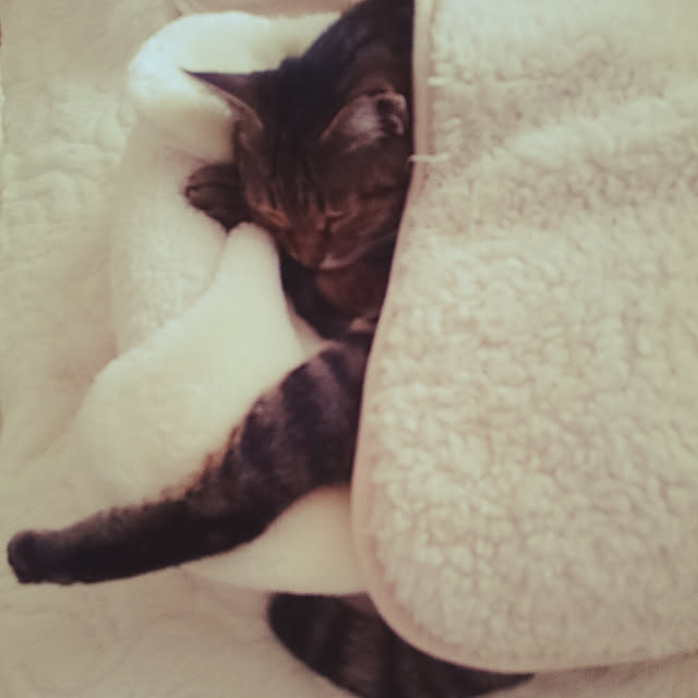 lilyさんの実例写真