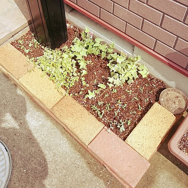 cocoさんの実例写真