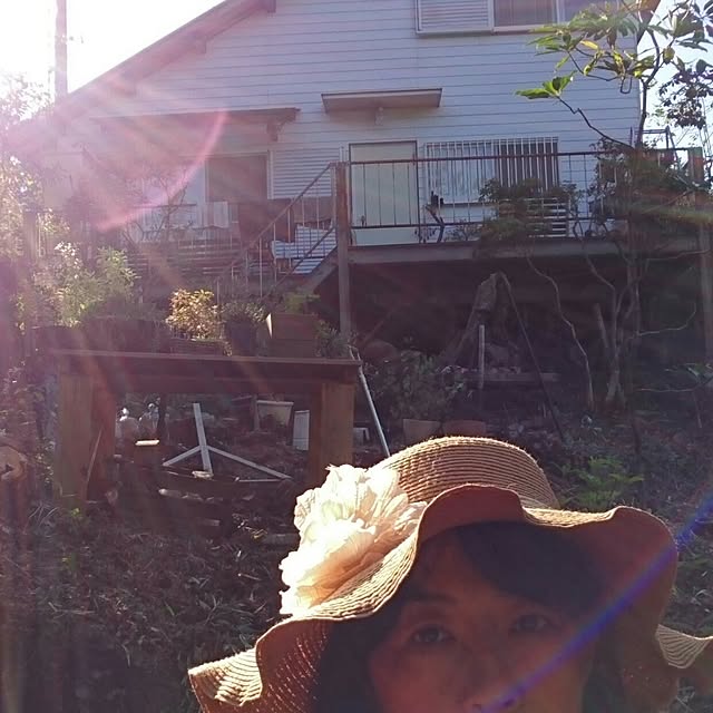 weさんの実例写真