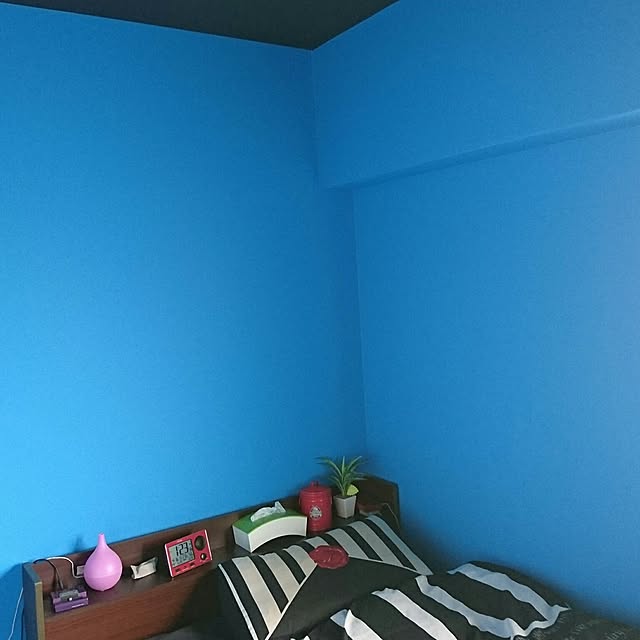 rf7rak1aさんの実例写真