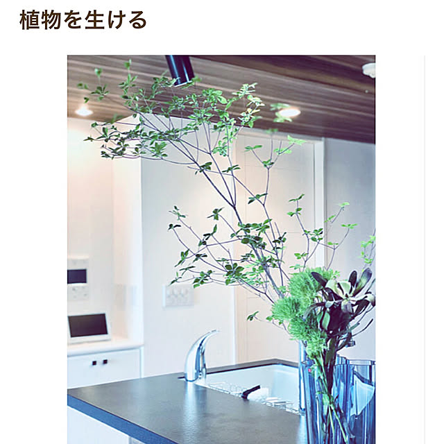 teracoyaWORLDさんの部屋