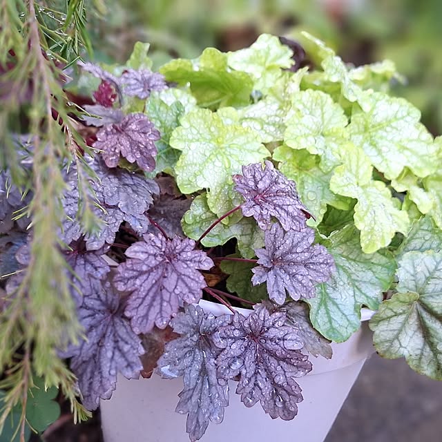 souさんの実例写真