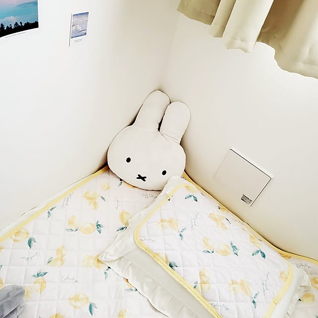 panさんの実例写真