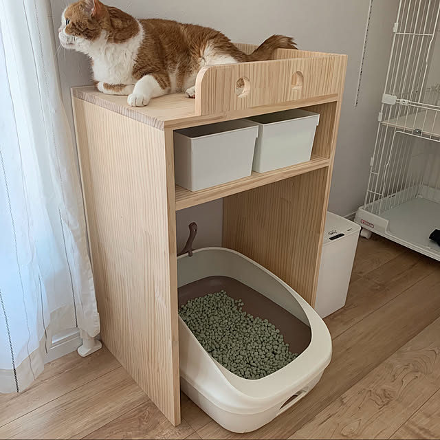 猫/DIY/セリア/棚のインテリア実例 - 2021-06-29 10:44:39