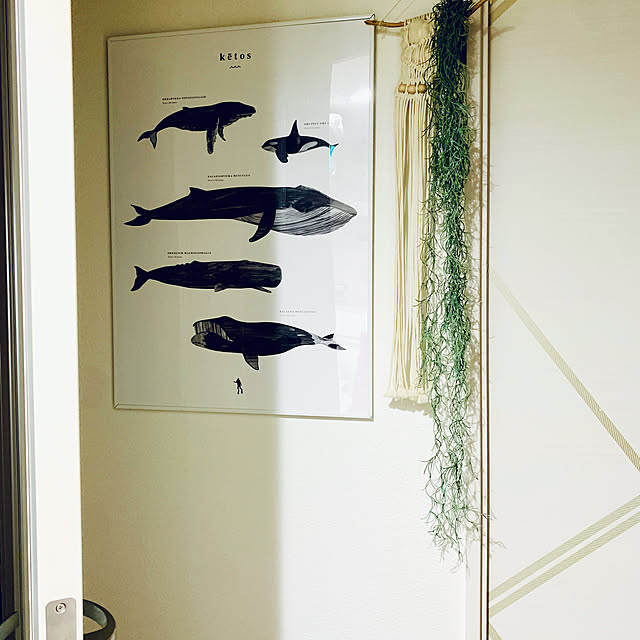 moonさんの実例写真