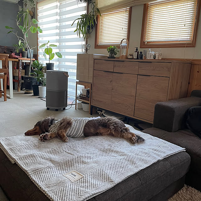 yupponさんの部屋