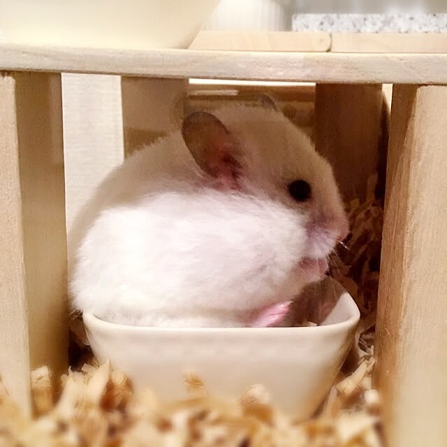 DORAさんの実例写真